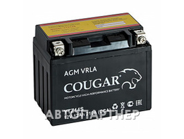 COUGAR AGM VRLA 12В 6ст 12 а/ч пп YT14B-BS